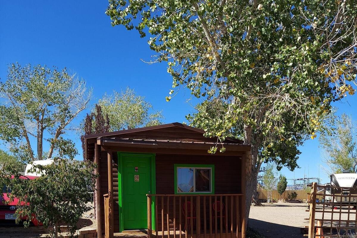 The Cactus (No Bathroom / Pet Friendly) | 客室ごとに異なる装飾、客室ごとに異なるインテリア、ベッドシーツ