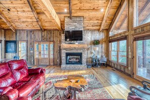 智能电视、壁炉、DVD 播放器