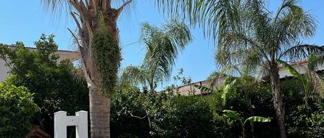 المنطقة المحيطة بالمنشأة