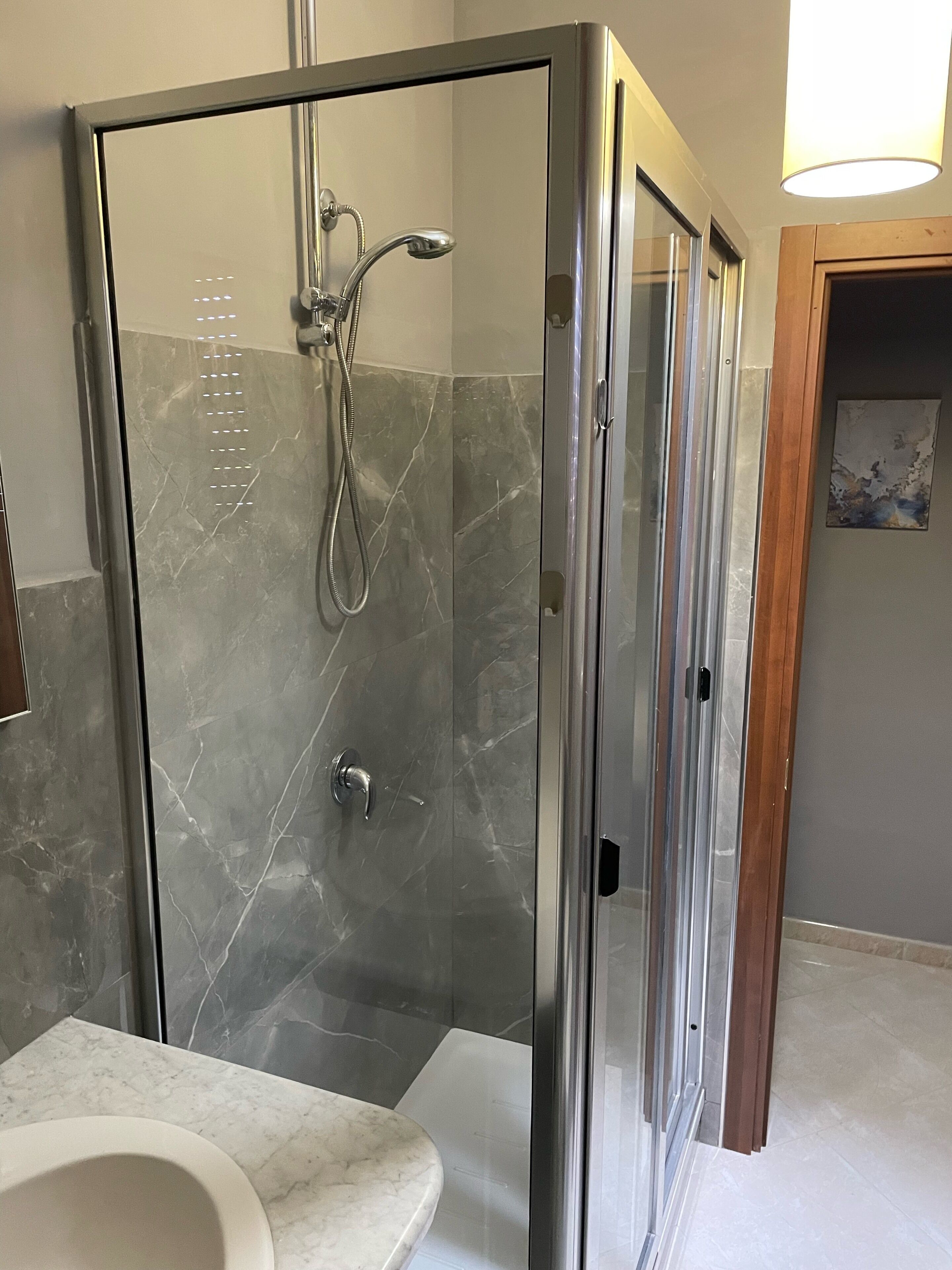 Shower, hair dryer, bidet, towels