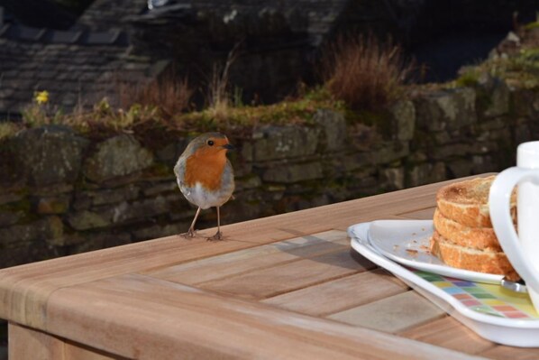 A wooden table with a plate of toast and a cup, and a bird standing on the table.