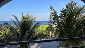Blick durch ein rundes Fenster mit Geländer auf eine Straße mit Palmen und einem strahlend blauen Himmel.
