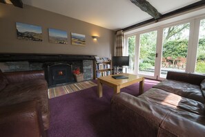 Una Smart TV, una chimenea, libros