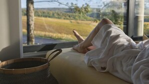 Una persona recostada en una cama con vista a un paisaje a través de una ventana.