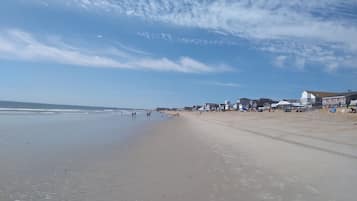 Plage à proximité, chaises longues, serviettes de plage