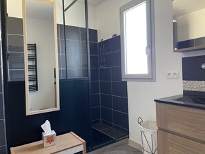 Combined shower/bathtub, hair dryer, toilet paper