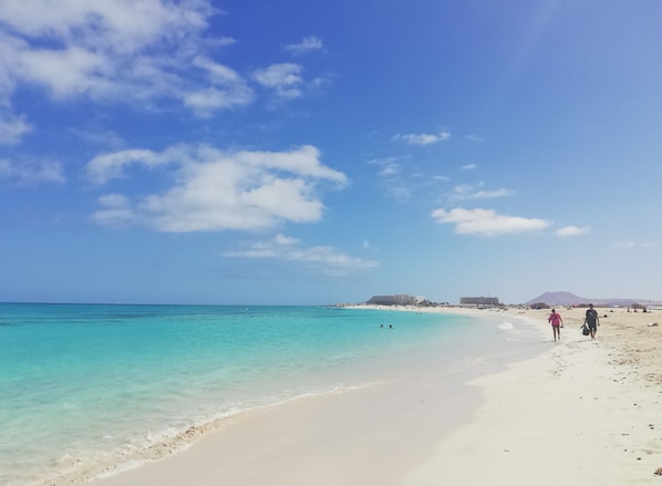 Serviettes de plage
