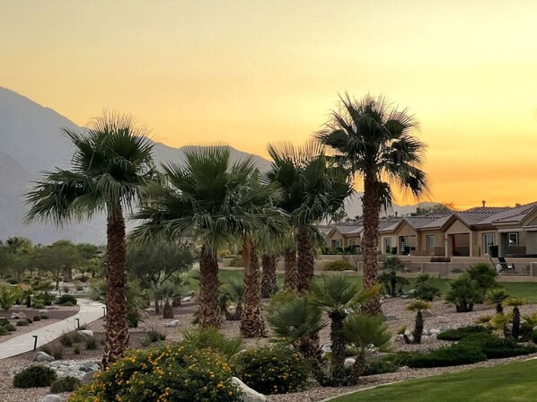 A resort with palm trees, a pathway, and buildings with a mountain backdrop.