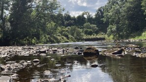 A river with rocks and trees in the background.