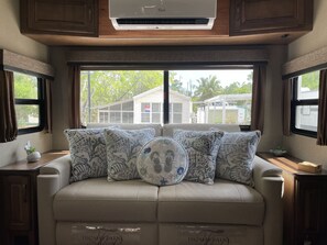 智能电视、壁炉、DVD 播放器、书