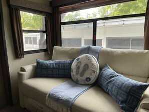 TV connectée, cheminée, lecteur de DVD, livres