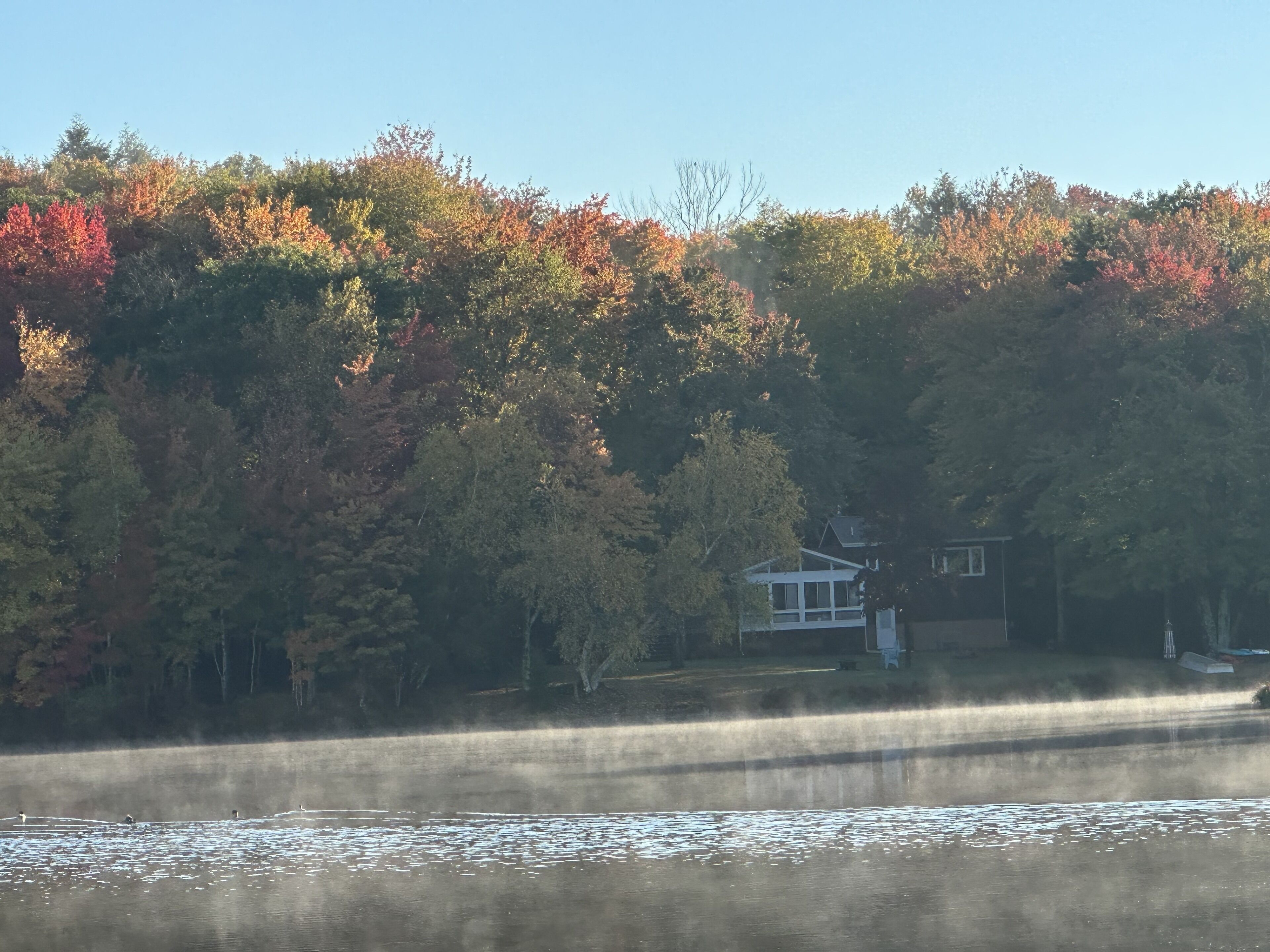 Ein Haus am See, umgeben von Herbstlaub.