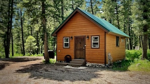 Une petite cabane en bois, surmontée d’un toit vert, entourée d’arbres.