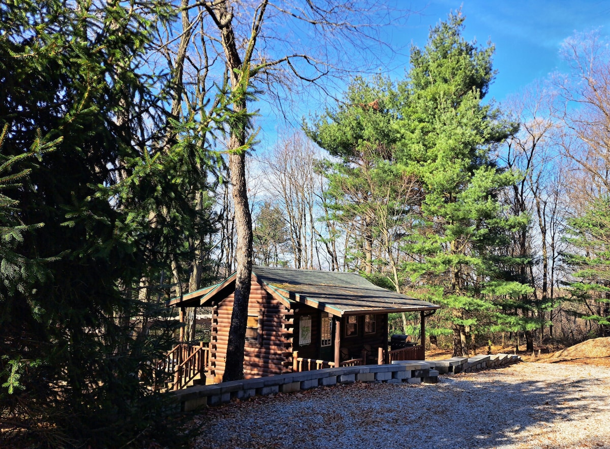 Foto de perfil del anfitrión