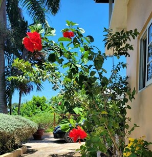 المنطقة المحيطة بالمنشأة