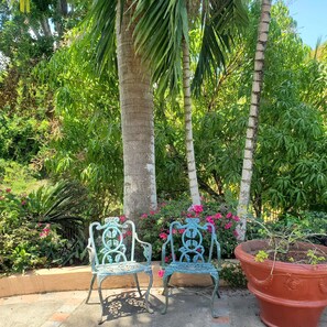 Terraza o patio