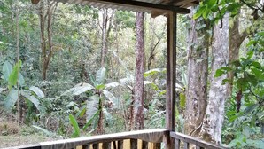 Un terrazzo in legno con tettoia metallica che si affaccia su una fitta foresta.