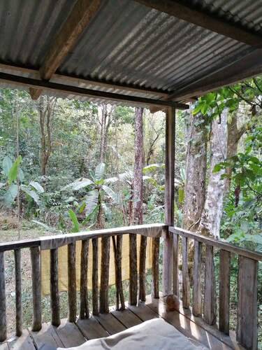 Primitive living cabin next to the river, with hiking trails!
