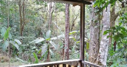 Primitive living cabin next to the river, with hiking trails!