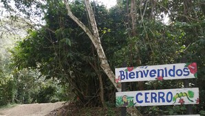 Un segnale stradale con su scritto 'Bienvenidos', 'Cerro' e 'Chontales', immerso tra alberi e un sentiero sterrato.