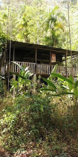 Primitive living cabin next to the river, with hiking trails!