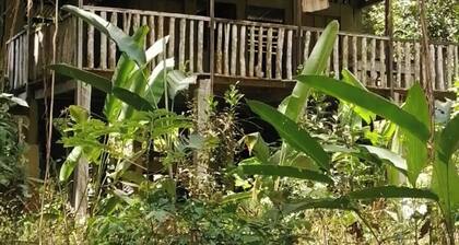 Primitive living cabin next to the river, with hiking trails!