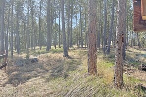 Miscellaneous - Buckhorn Lookout (Custer)