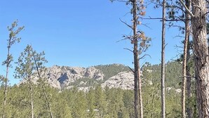 Ein bewaldetes Gebiet mit hoch aufragenden Bäumen und einem felsigen Berg im Hintergrund.