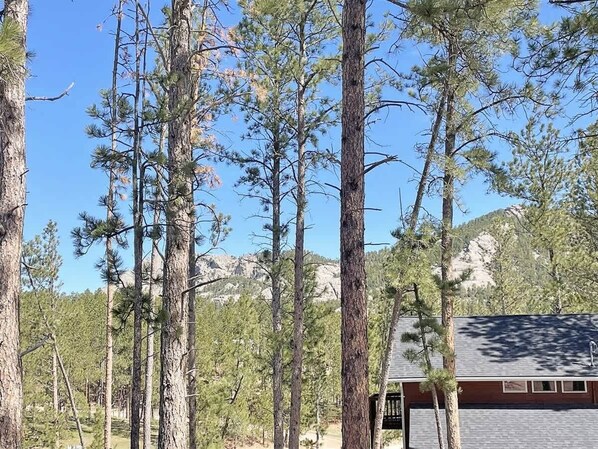 A cabin surrounded by tall pine trees with a mountainous backdrop. - Buckhorn Lookout (Custer)