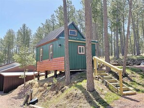A cabin with a wooden deck and a staircase leading up to it, surrounded by trees. - Buckhorn Lookout (Custer)