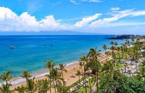 A beach resort with a view of the ocean, palm trees, and a hotel in the background.