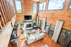 Smart TV, fireplace, books, video library