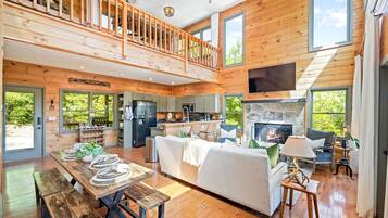 Smart TV, fireplace, books, video library