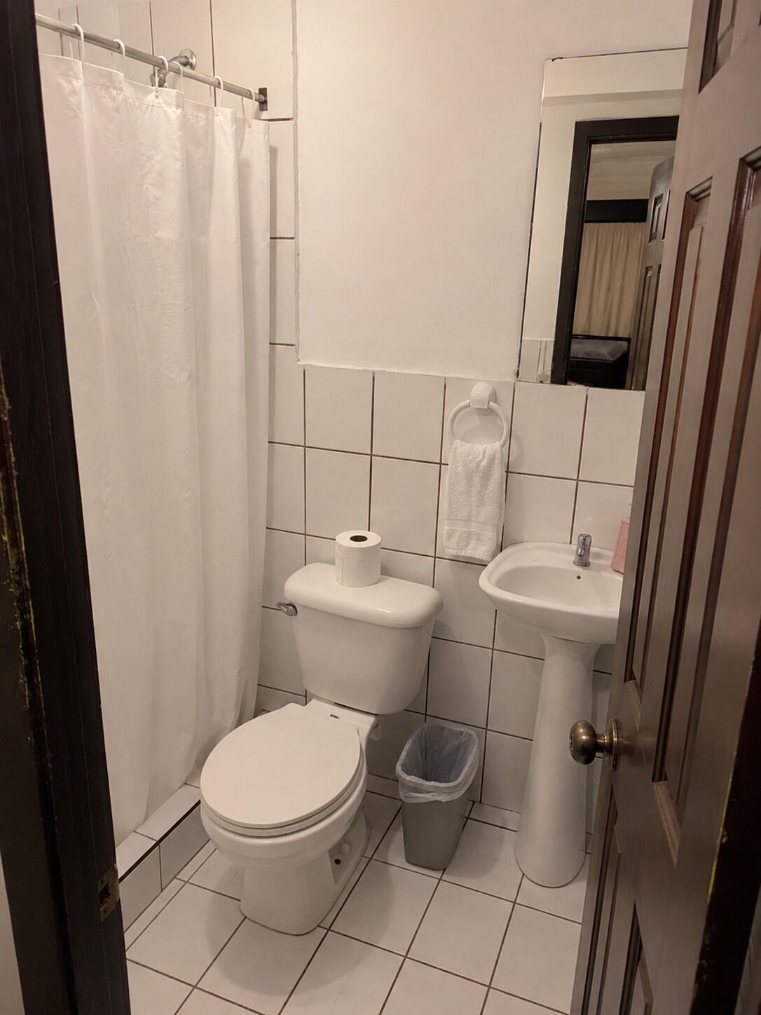 Une salle de bain équipée de toilettes, d’un lavabo, d’un rideau de douche et d’une poubelle.
