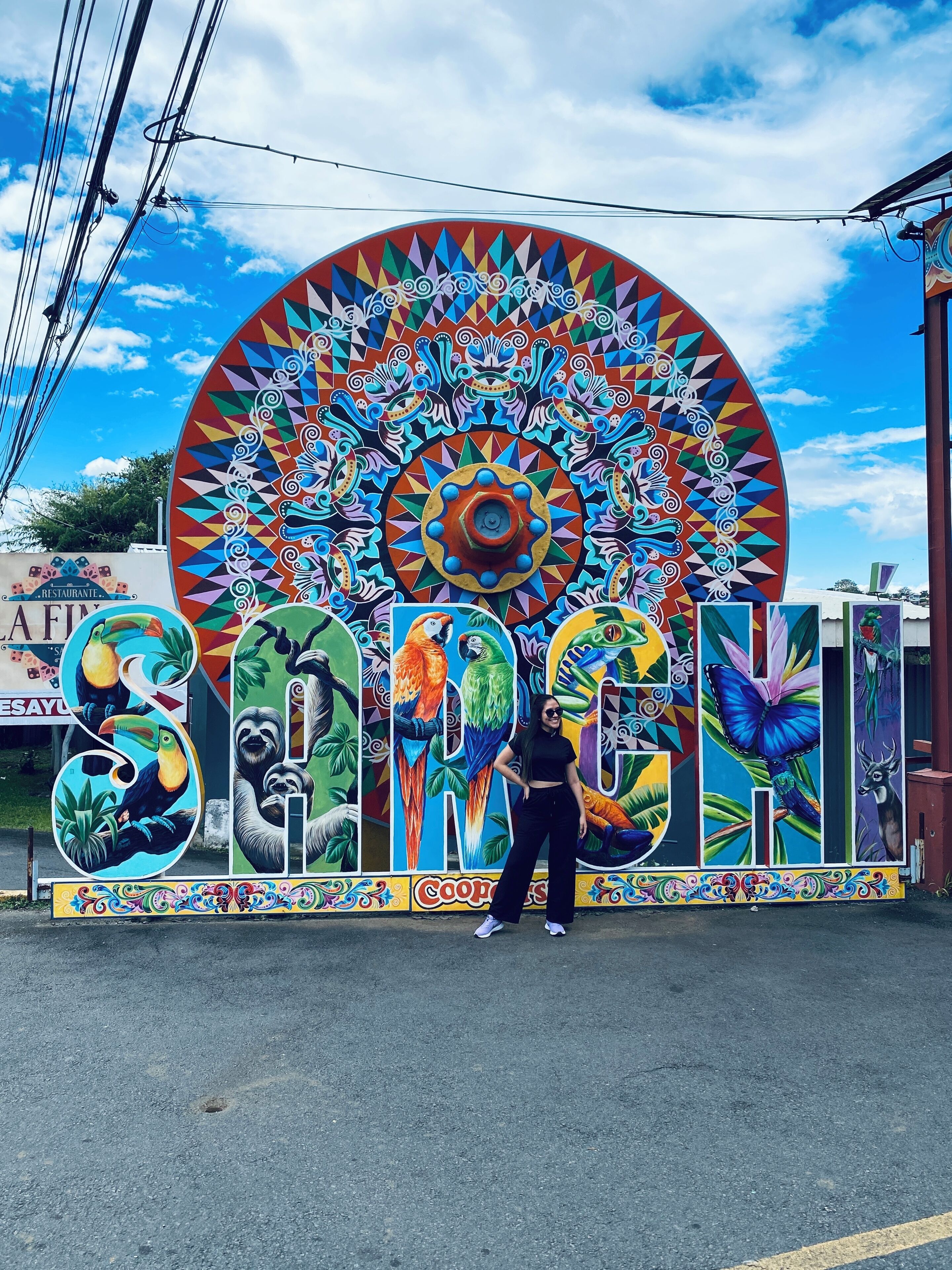 A colorful mural with tropical birds and a circular design, with a person standing in front.