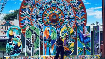 A colorful mural with tropical birds and a circular design, with a person standing in front.