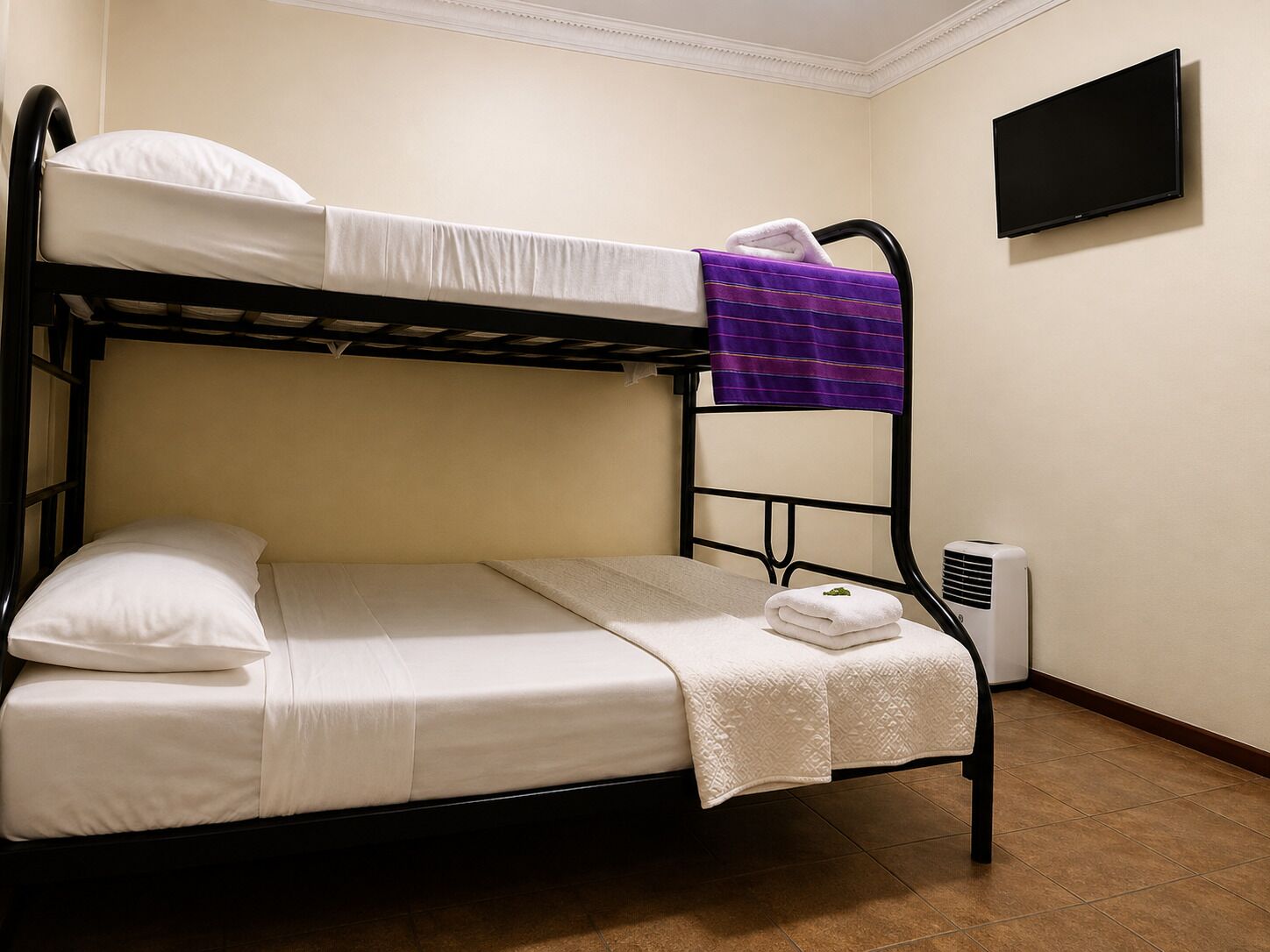 Cama litera con una cama individual abajo, televisor montado en la pared y aire acondicionado.