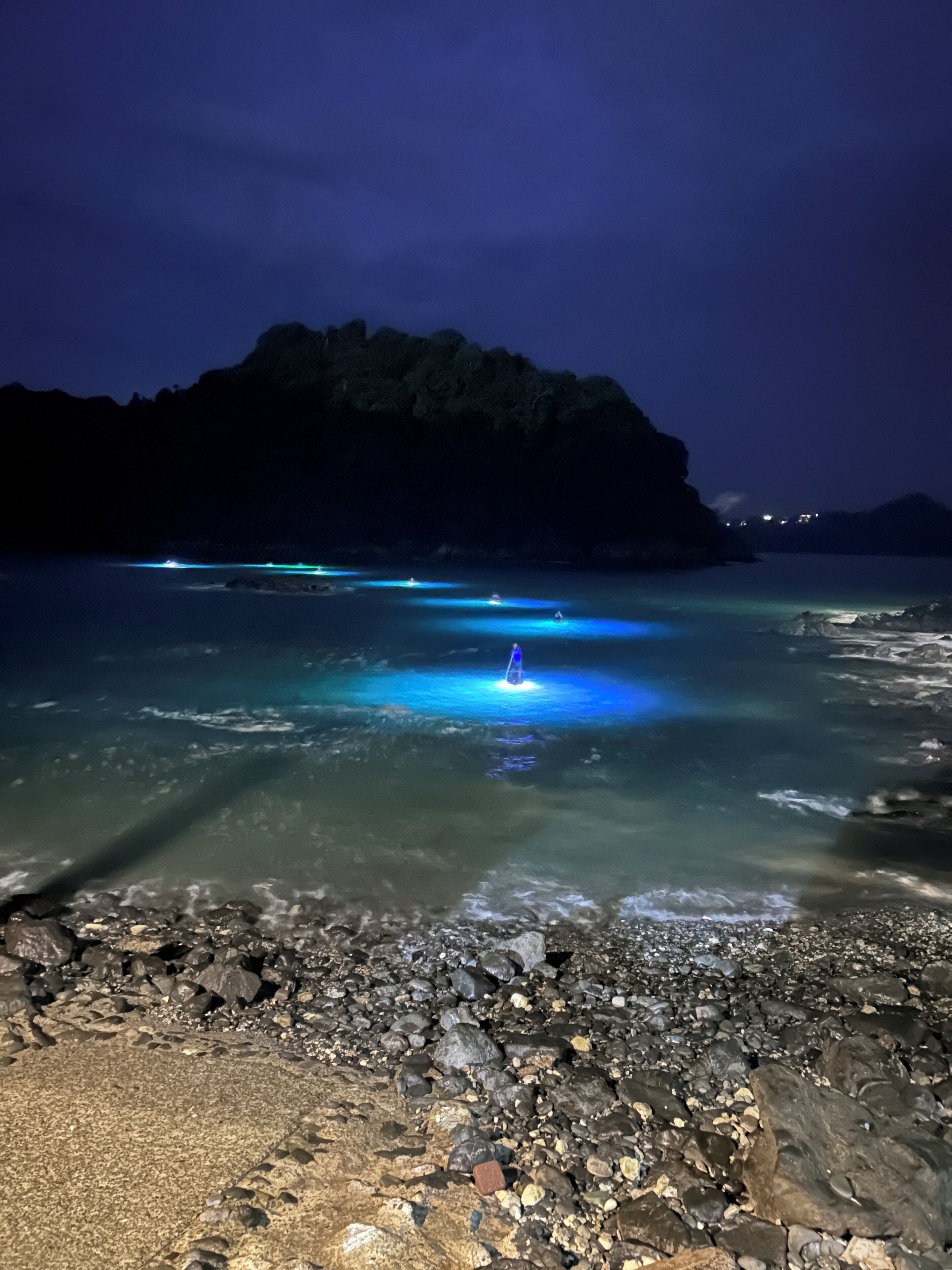 A rocky shoreline with clear water and a distant mountain.