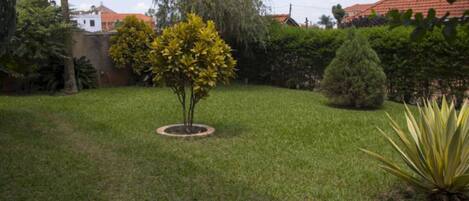 Um jardim bem cuidado com uma árvore central, um arbusto pequeno e uma planta grande à direita.