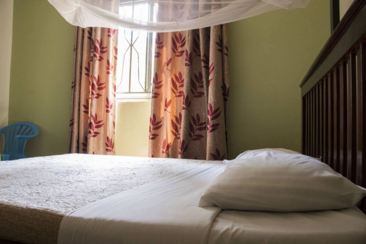 Una cama con cubrecama y almohada blancos, mosquitero sobre ella, y una ventana con cortinas.