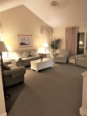 电视、DVD 播放器、乒乓球