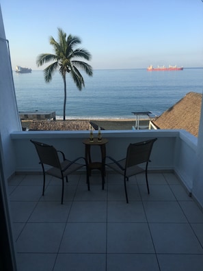 Property grounds - OCEANFRONT! 🏖 PENTHOUSE WITH A VIEW 🐳 🚢 (Manzanillo)
