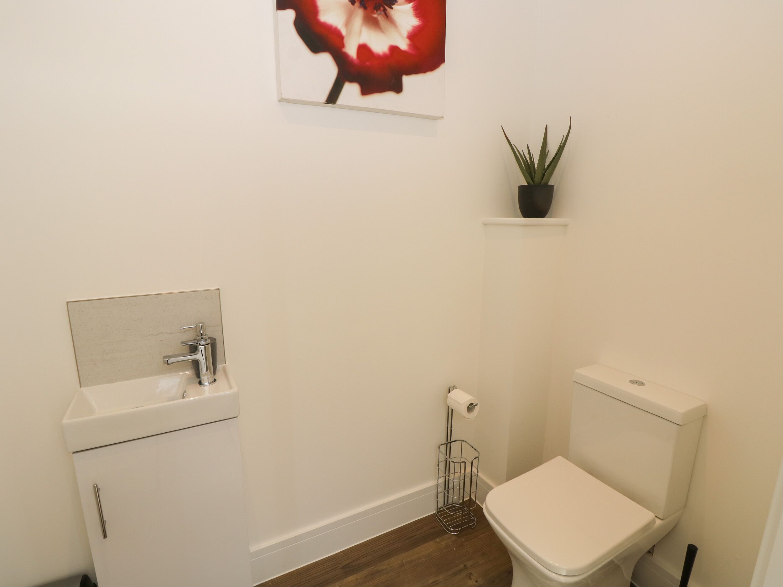 A small bathroom with a white sink, toilet, and a potted plant on a shelf.