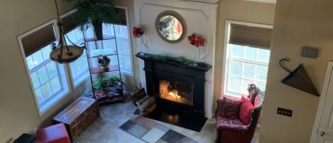 Smart TV, fireplace, video games, books