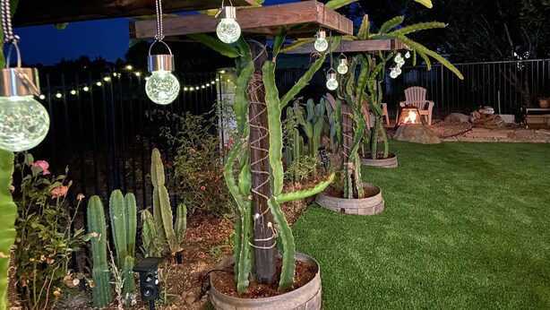 A garden with potted cacti and hanging decorative lights. - Spacious Family Retreat near Botanica, Legoland, Frontwave Arena, & Beach! (Oceanside)