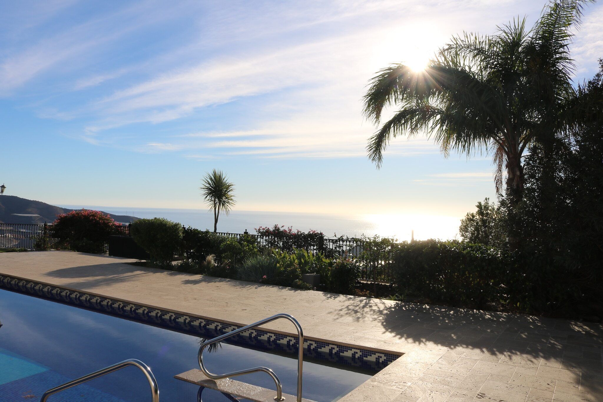 A pool area with a clear view of the ocean and a palm tree.