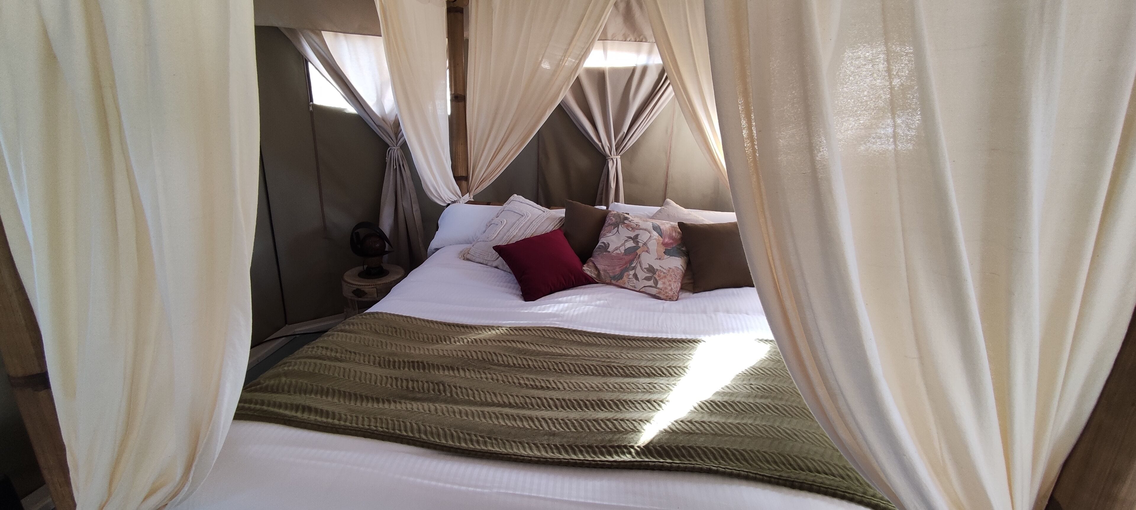 Foto - El Toril Glamping Experience
