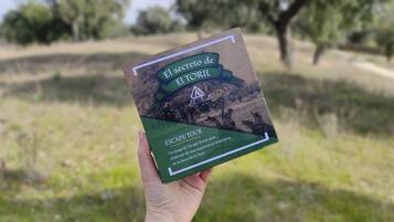 A hand holding a game box titled "El secreto de El Toril" with a green and brown cover, featuring a landscape scene.