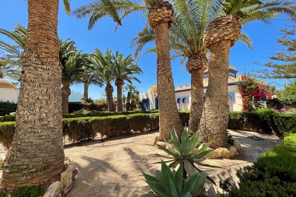 Un jardín con palmeras y un sendero.