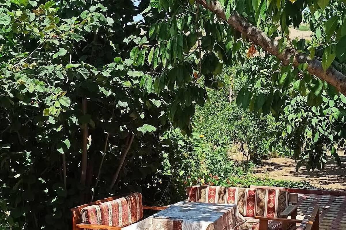 Un espace extérieur aménagé avec du mobilier en bois et une table, entouré d’une végétation luxuriante.